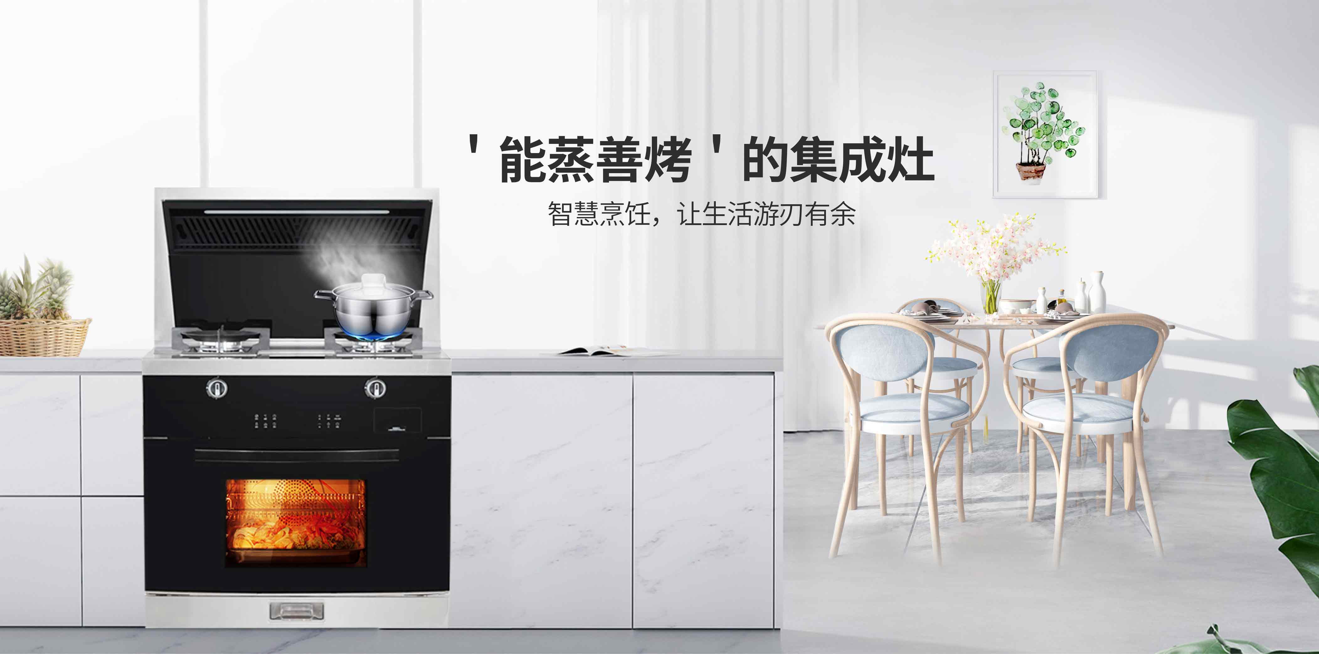 思利科電器，思利科廚電，思利科廚衛(wèi)電器，廣東思利科智能科技有限公司