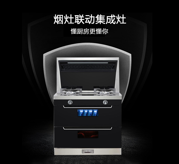 公司所生產(chǎn)銷(xiāo)售的燃?xì)庠罹弋a(chǎn)品，在行業(yè)里始終處于領(lǐng)先地位，也是灶具行業(yè)里比較突出的OEM制造企業(yè)