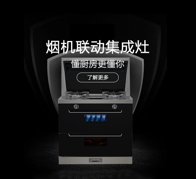 公司所生產(chǎn)銷(xiāo)售的燃?xì)庠罹弋a(chǎn)品，在行業(yè)里始終處于領(lǐng)先地位，也是灶具行業(yè)里比較突出的OEM制造企業(yè)